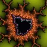 carnivorace